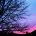 Blue (& Pink) Sky by yogiw