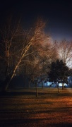 3rd Feb 2020 - The park at night
