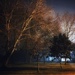 The park at night by spectrum