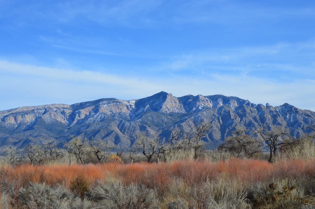 Sandia Mountains In Winter. by bigdad
