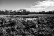 3rd Feb 2020 - Water meadows....