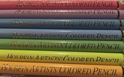 4th Feb 2020 - Holbein pastel pencils
