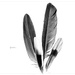 Feather Sampler by lyndemc