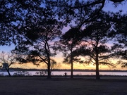 5th Feb 2020 - Sunset along  the Ashley River in Charleston