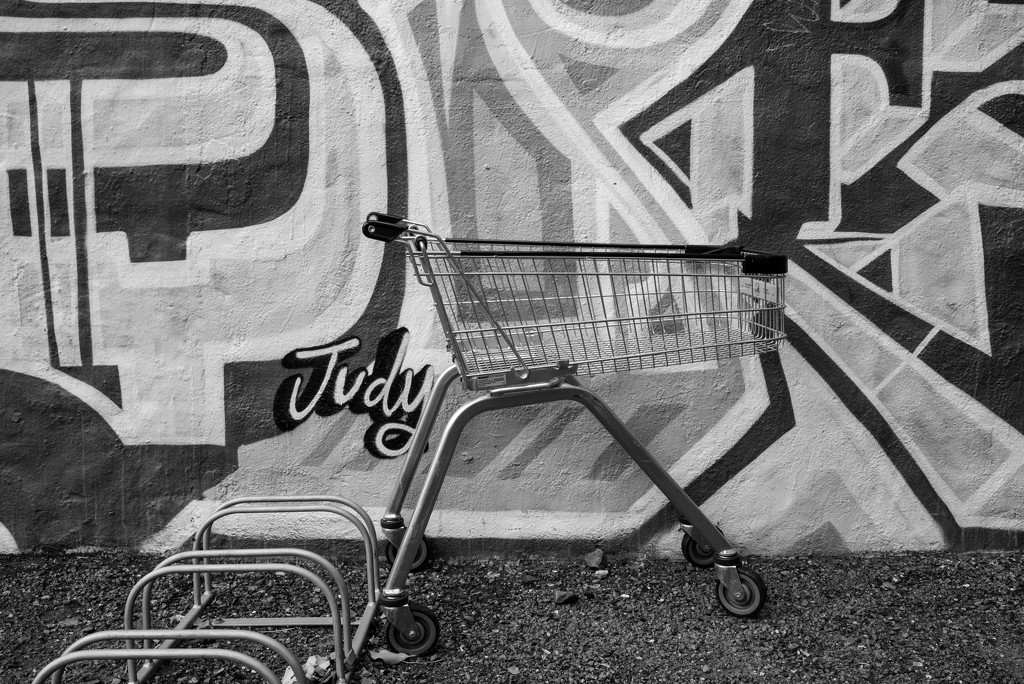 A cart named Judy by brigette