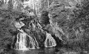 5th Feb 2020 - Forms in Nature - Dess Falls