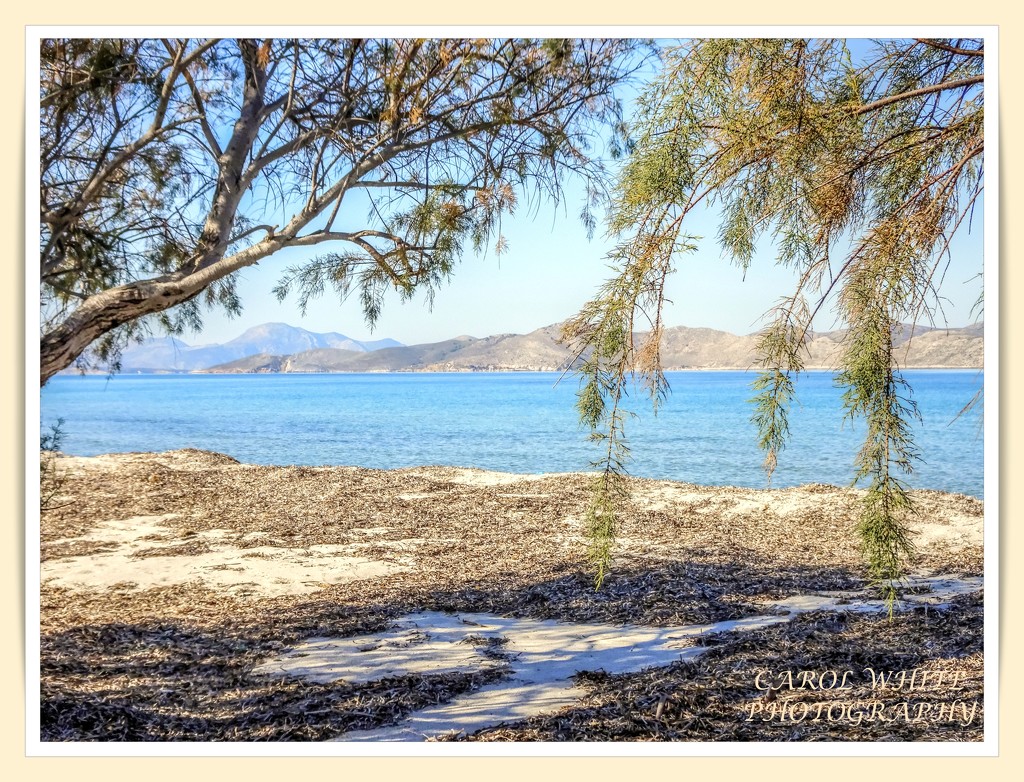 Seaweed Strewn,Tingaki Beach,Kos by carolmw