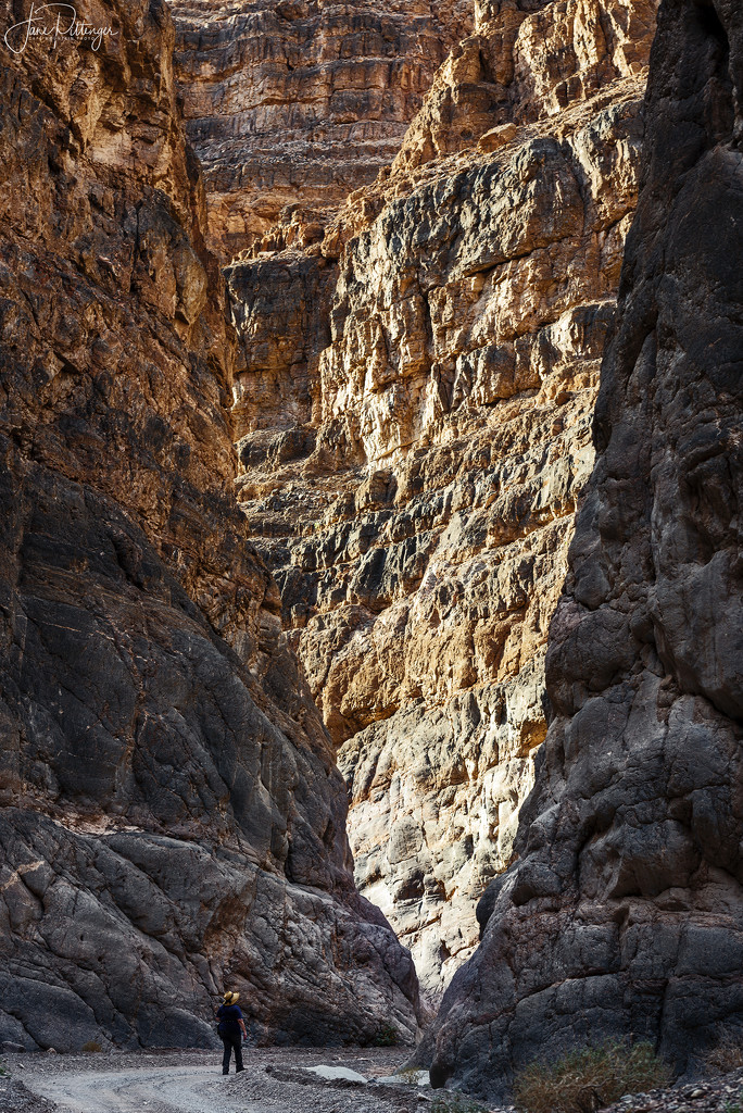 Walking Through Titus Canyon by jgpittenger