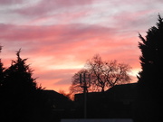 3rd Feb 2020 - Sunset