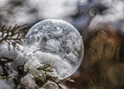 5th Feb 2020 - frozen bubble