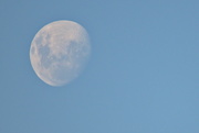 6th Feb 2020 - Tonight's Moon - 7:55pm