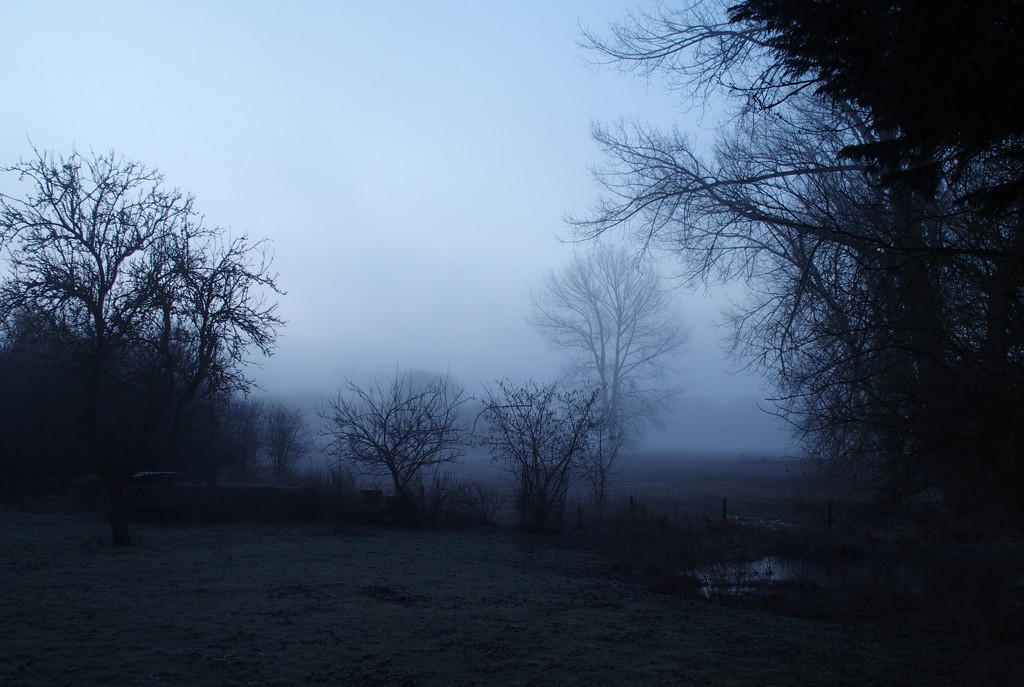 Misty by arkensiel