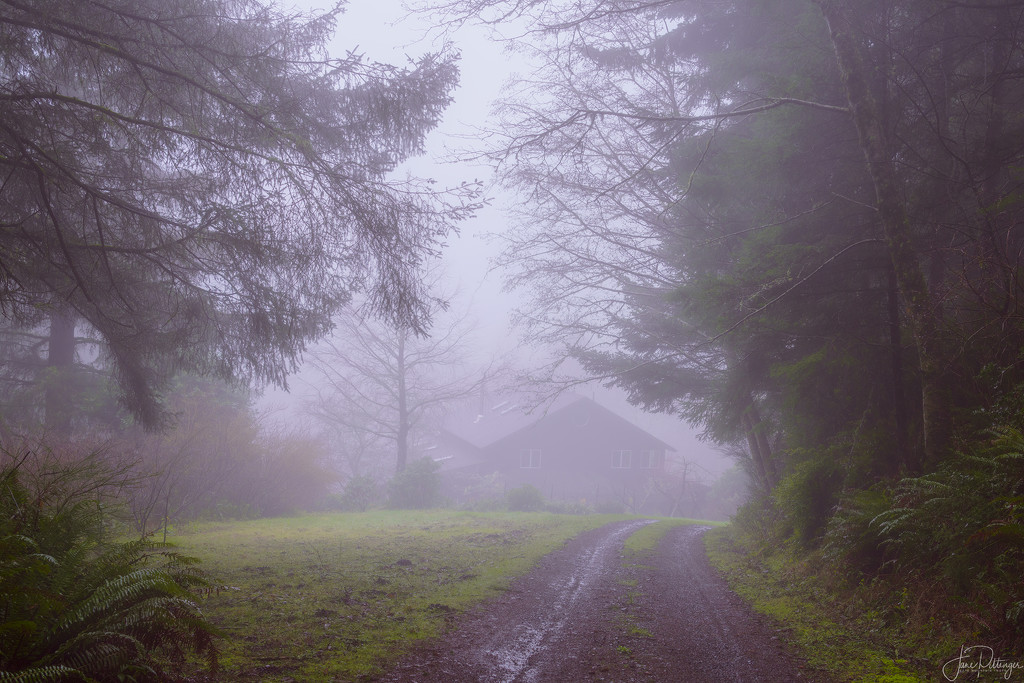 Rainy and Foggy At the Homestead by jgpittenger