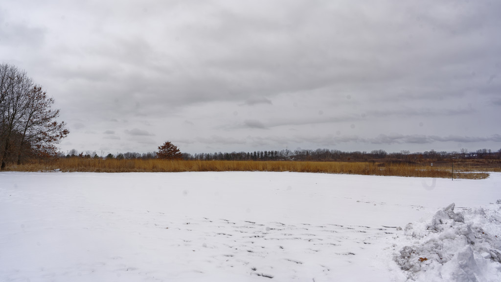snowscape prairie by rminer