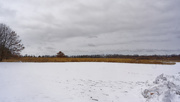 6th Feb 2020 - snowscape prairie