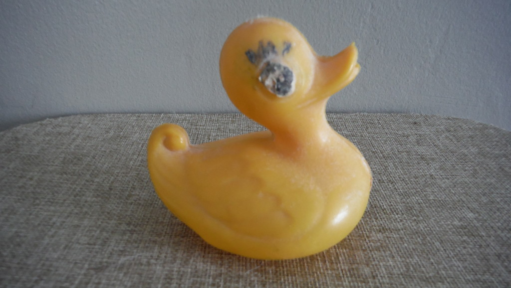 It's Lame Duck Day! by spanishliz