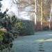 A cold and frosty morning... by snowy