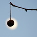 Lunar Eclipse. by gaf005