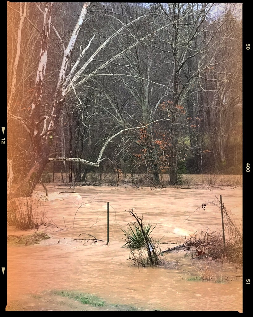 February Flood  by kentucky_wanderlust