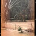 February Flood  by kentucky_wanderlust
