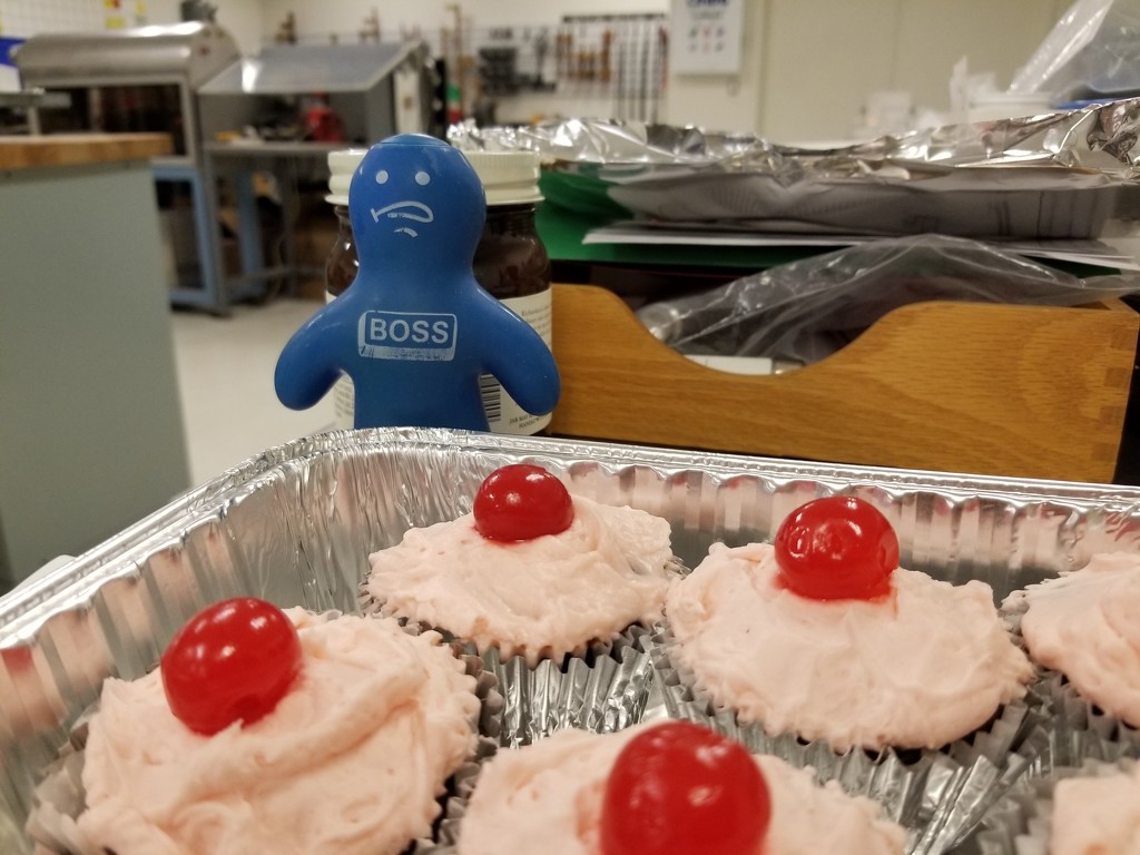 The Boss doesn't appreciate cupcakes in the lab. by scoobylou
