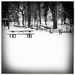 It Snowed | Black & White by yogiw