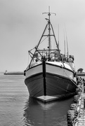3rd Feb 2020 - Fishing Trawler