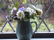 7th Feb 2020 - Flowers from the garden...