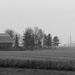 Barn and Power lines by houser934