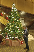 16th Dec 2019 - Theater Christmas Tree 2019