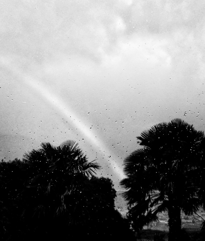 Raindrops on window. Rainbow on water by kiwinanna