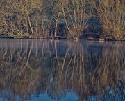 8th Feb 2020 - Mapperley Reservoir Reflections.