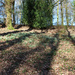 7th Feb snowdrops and shadows by valpetersen