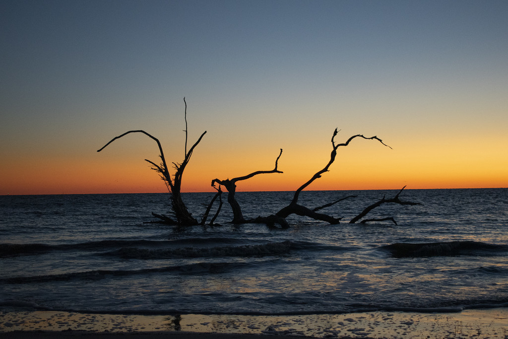 Sunrise on Driftwood Beach by k9photo