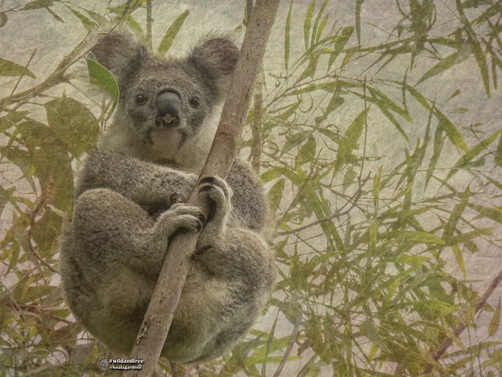 loving layer masks by koalagardens