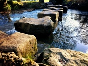 8th Feb 2020 - Stepping stones, Endcliffe Park Sheffield