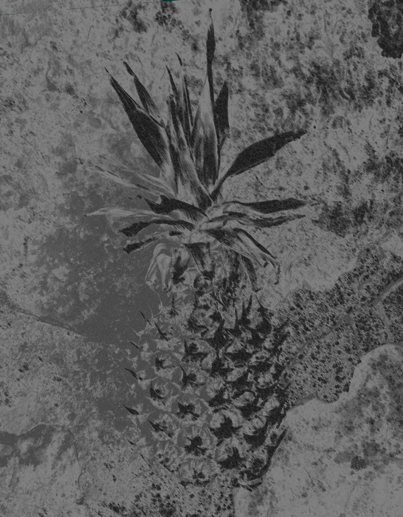 pineapple by anniesue