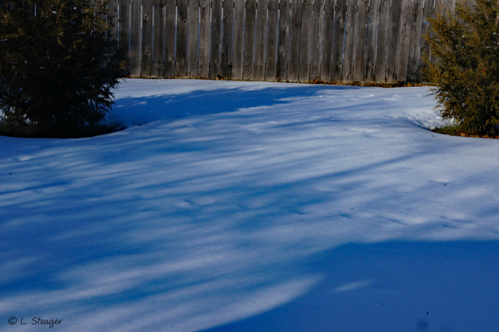 Shadows on the snow by larrysphotos