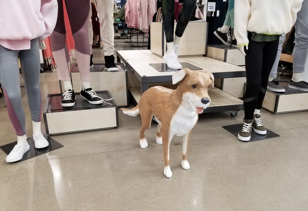 Mannequin doggo by scoobylou
