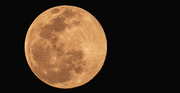 8th Feb 2020 - Tonight's Moon Shot!