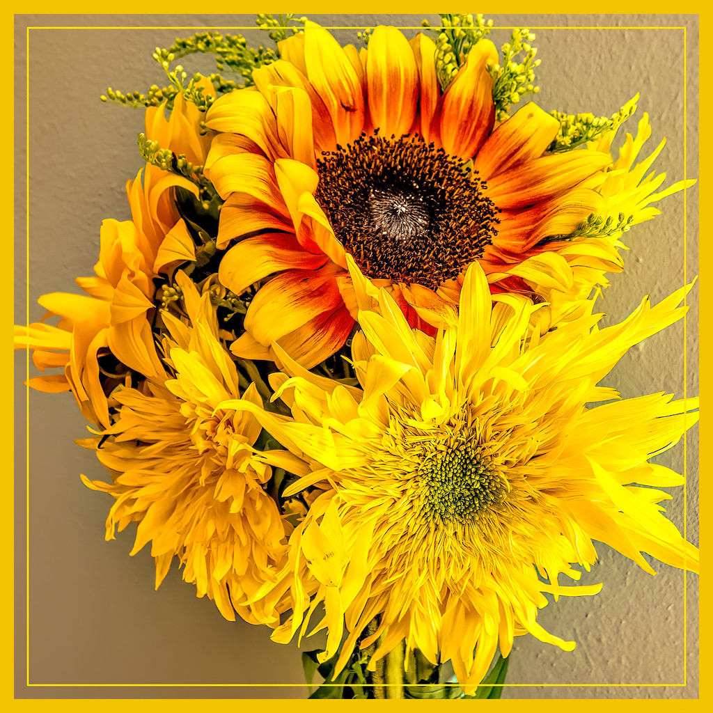 Sunflowers  by ludwigsdiana