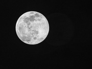 8th Feb 2020 - Full Moon Between the Clouds
