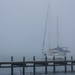 Misty Morning by seacreature