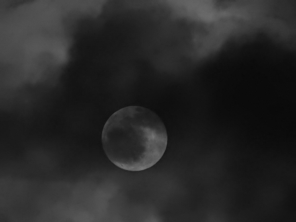 Moon by mattjcuk