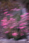 9th Feb 2020 - Out of Sorts - ICM