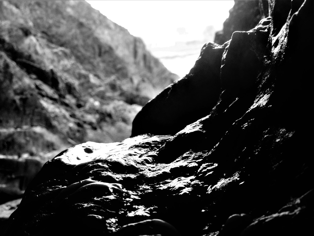 Sunlight over wet black rocks by etienne