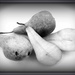 Pears by beryl