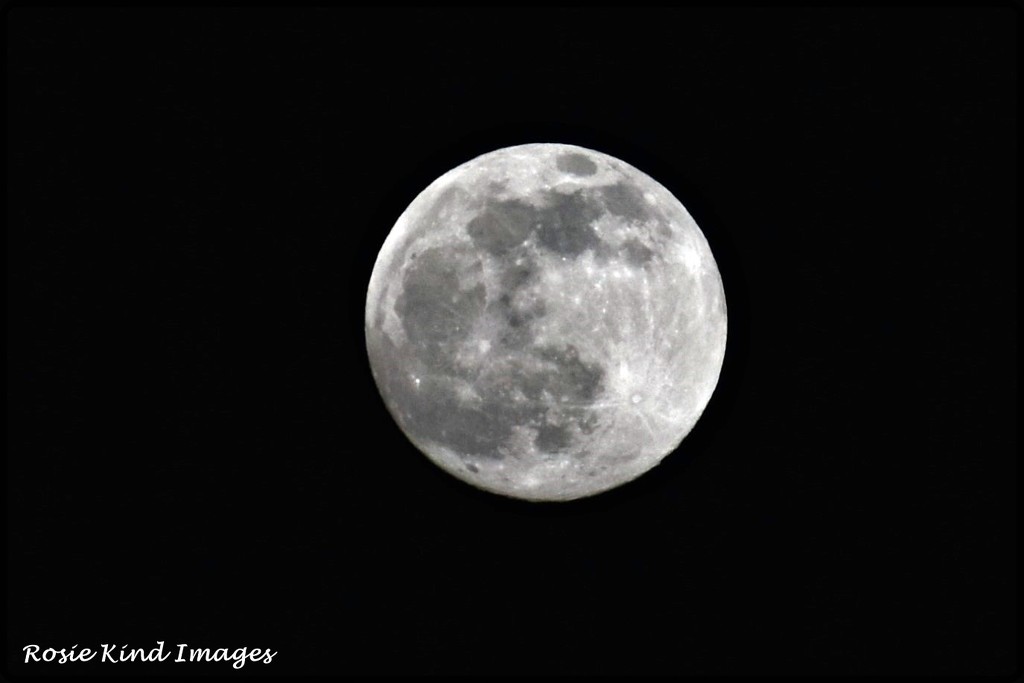 Last night's full moon by rosiekind