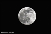 8th Feb 2020 - Last night's full moon