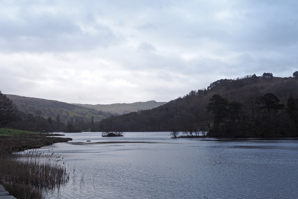 Rydal Water by philhendry